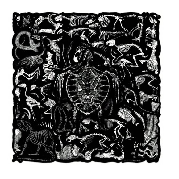 Animal Skeleton Bulk Stickers 50 PC Vinyl NWT - Picture 5 of 5